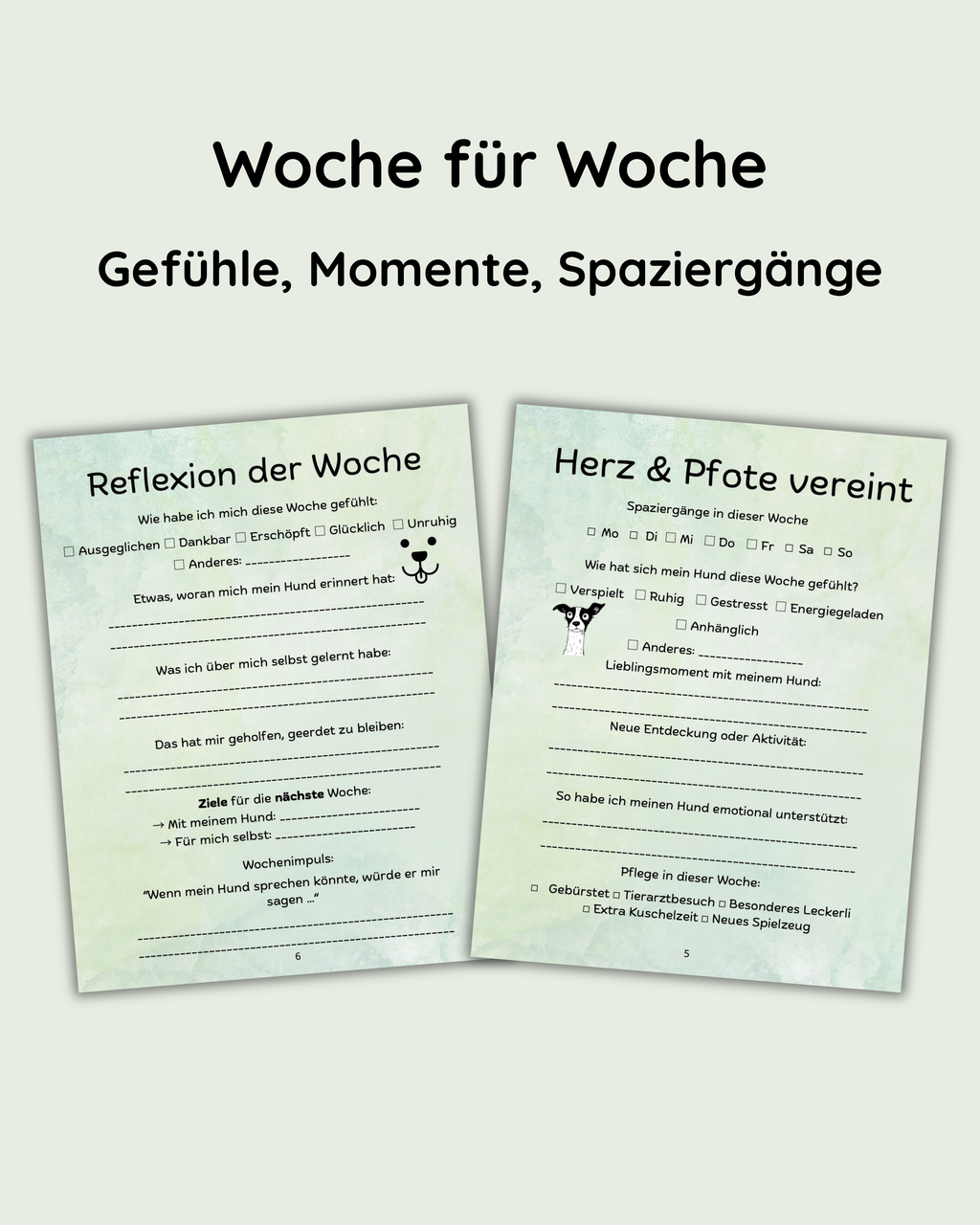 Bundle-Angebot - Seelenzeit mit Hund & Katze