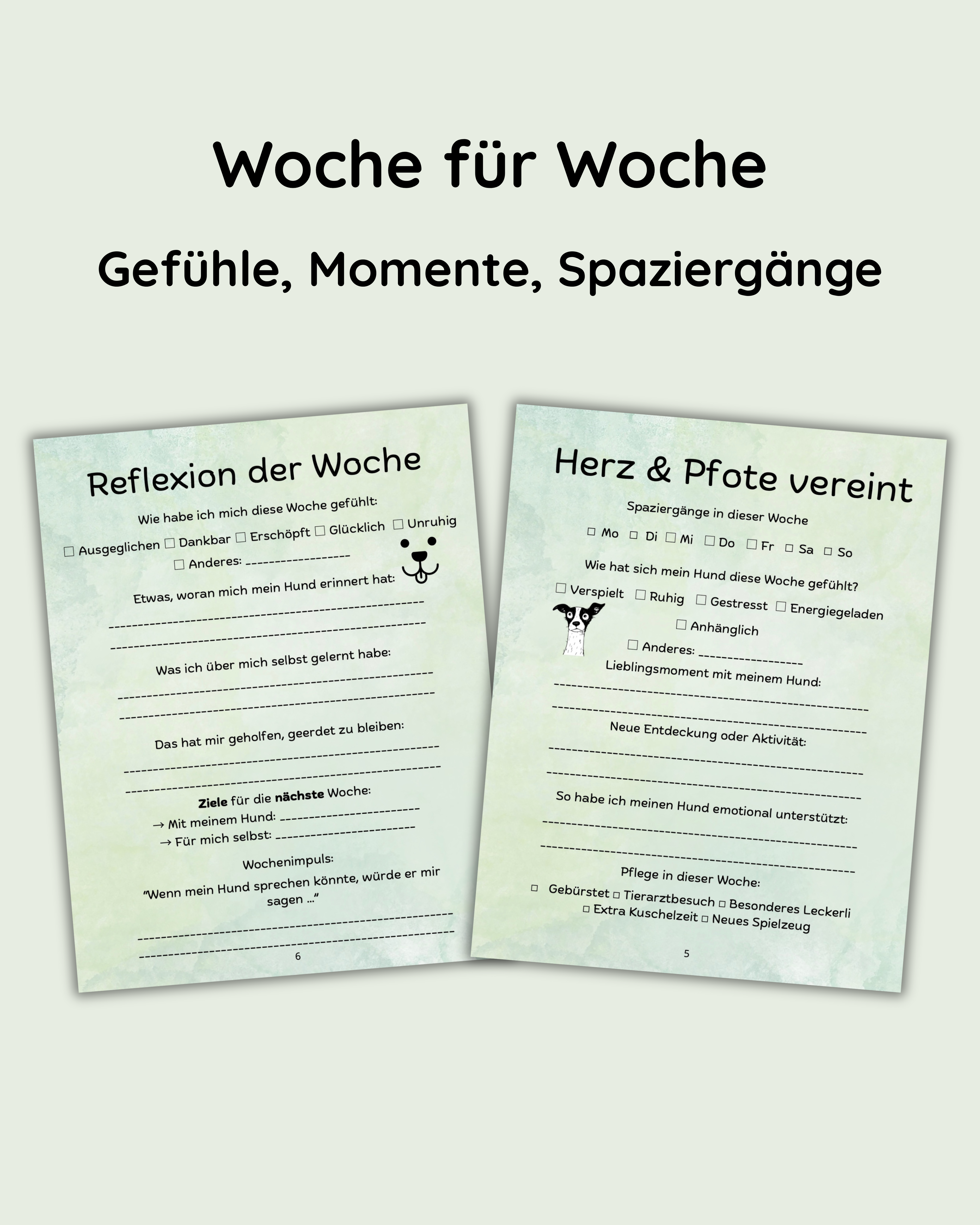 Bundle-Angebot - Seelenzeit mit Hund & Katze