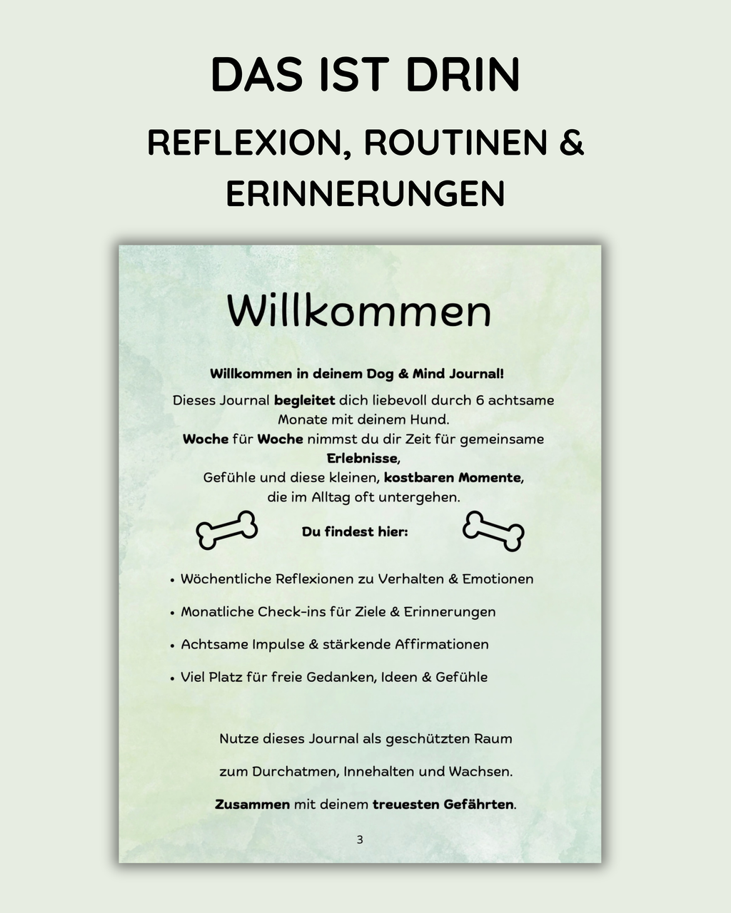 Bundle-Angebot - Seelenzeit mit Hund & Katze