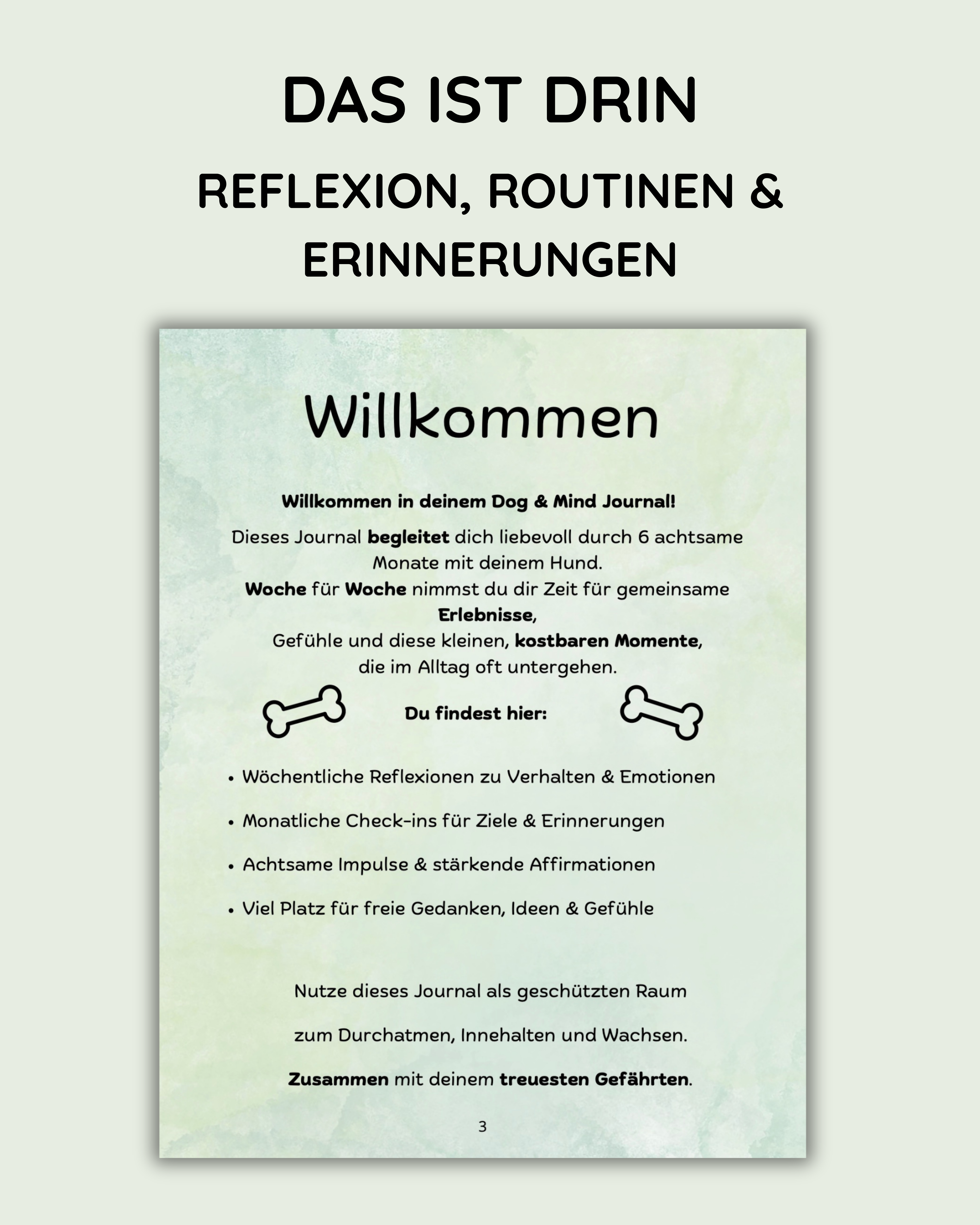Bundle-Angebot - Seelenzeit mit Hund & Katze