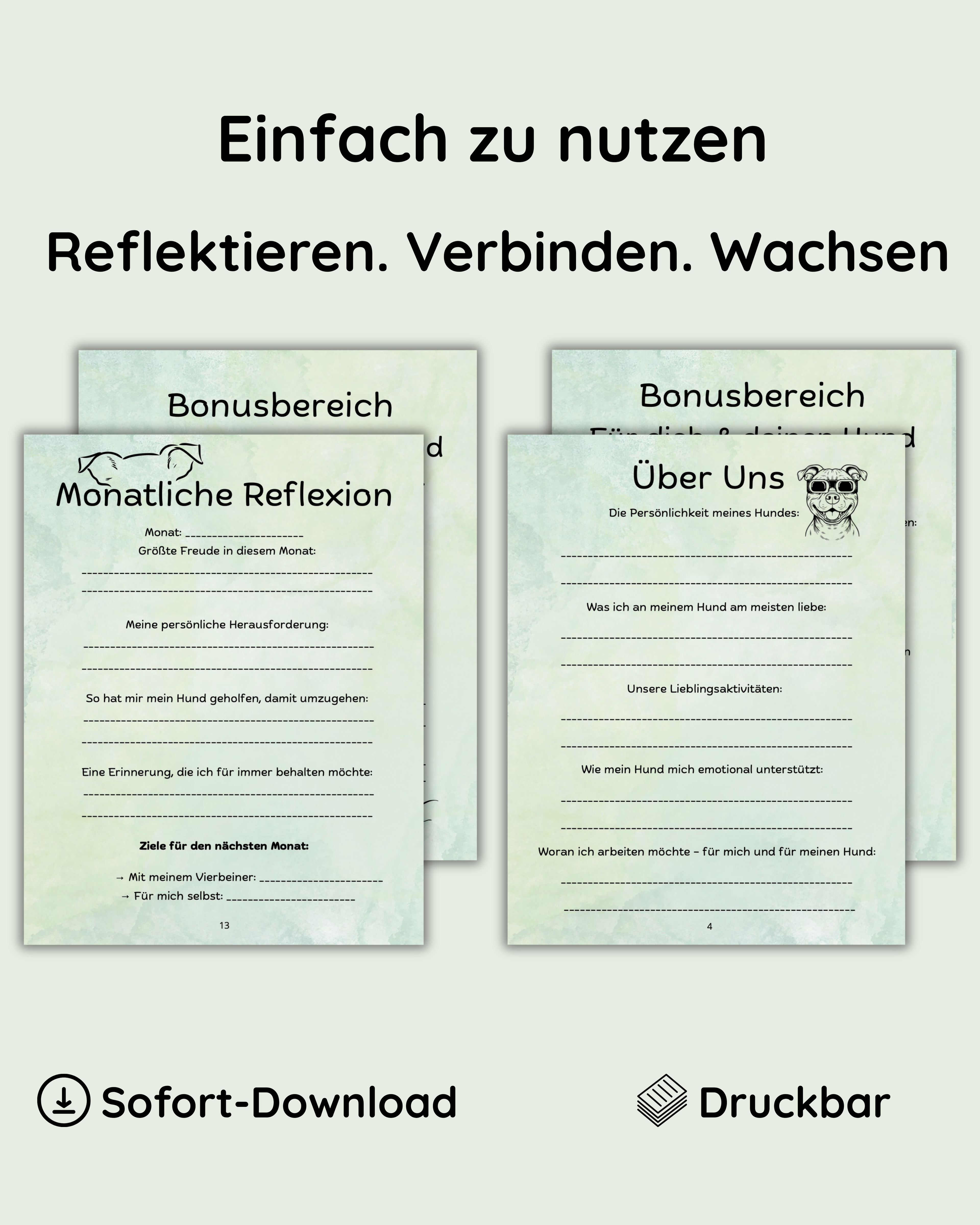 Bundle-Angebot - Seelenzeit mit Hund & Katze